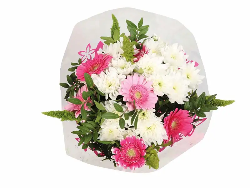 6 Ramos De Flores De Lidl Desde 2 Euros Para El D a De Todos Los Santos 6 Ramos De Flores De Lidl Desde 2 Euros Para El D a De Todos Los Santos